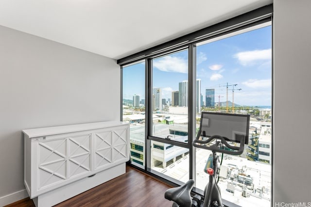 600 Ala Moana Blvd Unit 1101, Honolulu, HI 96813 - exercise room featuring a city view, dark wood-type flooring, plenty of natural light, and floor to ceiling windows