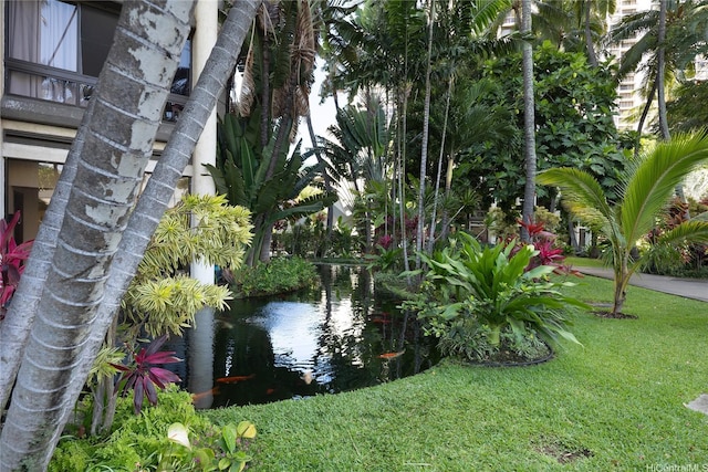 300 Wai Nani Way Unit I304, Honolulu, HI 96815 - view of grassy yard