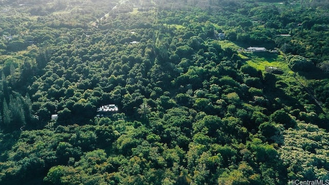 87-2721 Hawaii Belt Rd, Captain Cook, HI 96704 - photo 8