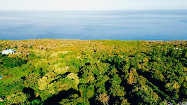 87-2721 Hawaii Belt Rd, Captain Cook, HI 96704 - photo 11