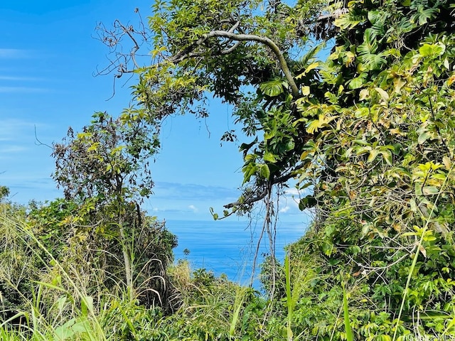87-2721 Hawaii Belt Rd, Captain Cook, HI 96704 - photo 12