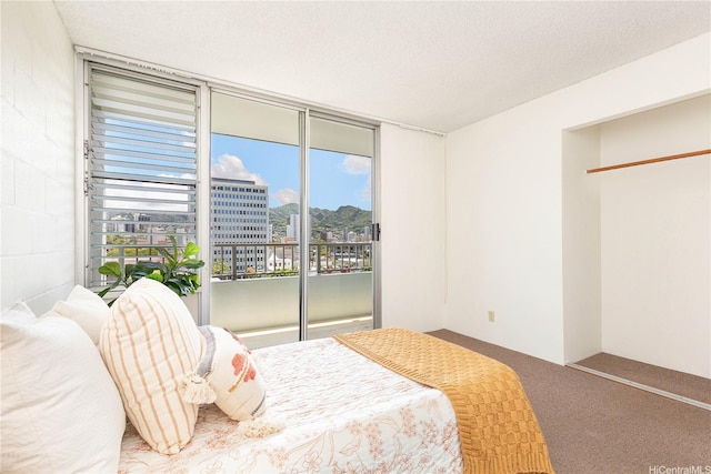 1122 Elm St Unit 809, Honolulu, HI 96814 - bedroom with access to outside, carpet floors, a view of city, and a textured ceiling