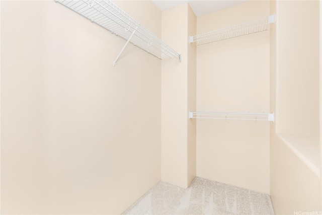 91-1083 Kanela St Unit T22, Ewa Beach, HI 96706 - spacious closet featuring carpet