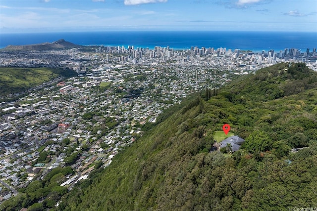 3711 Round Top Dr, Honolulu, HI 96822 - photo 1