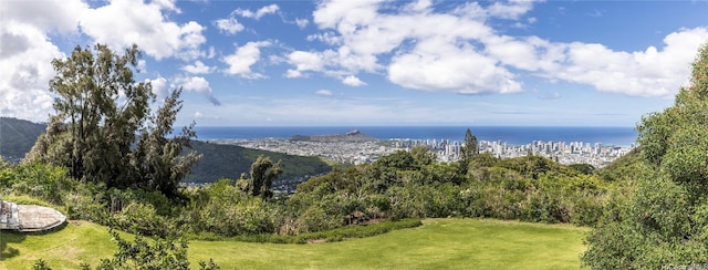 3711 Round Top Dr, Honolulu, HI 96822 - photo 10