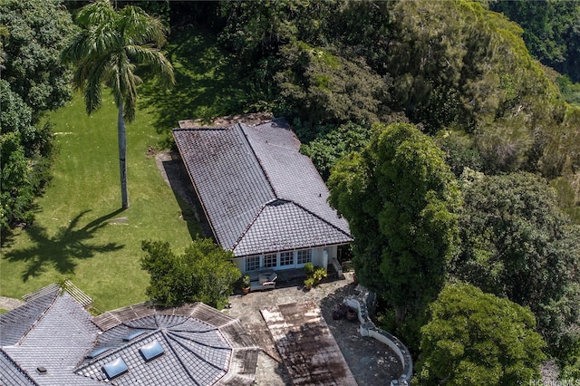 3711 Round Top Dr, Honolulu, HI 96822 - photo 9