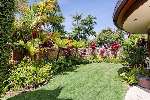 4498 Pahoa Ave, Honolulu, HI 96816 - view of yard