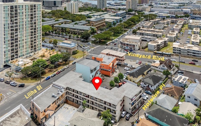 1438 Liliha St, Honolulu, HI 96817 - view of urban area