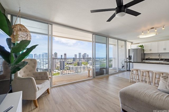 1520 Ward Ave Unit 902, Honolulu, HI 96822 - living room featuring a skyline view, light wood-type flooring, plenty of natural light, a ceiling fan, and floor to ceiling windows