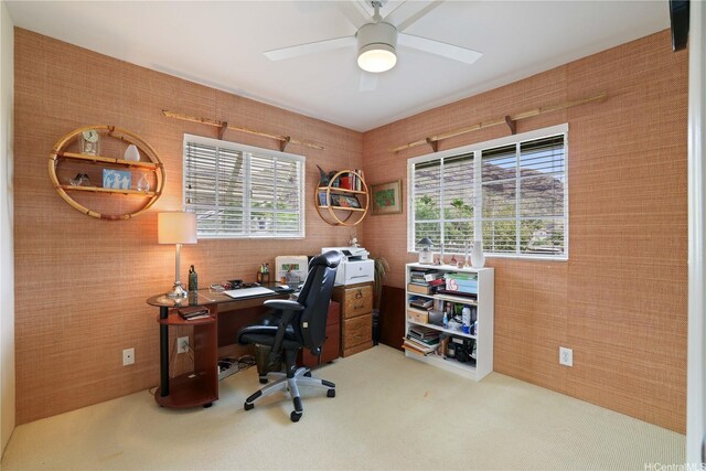 87-1008 Kahiwelola St, Waianae, HI 96792 - photo 13