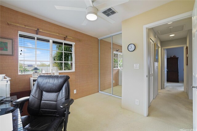 87-1008 Kahiwelola St, Waianae, HI 96792 - photo 14