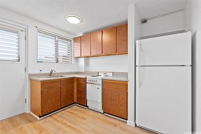 636 Nalanui St Unit 302, Honolulu, HI 96817 - kitchen with white appliances, a sink, light wood-style flooring, light countertops, and brown cabinets