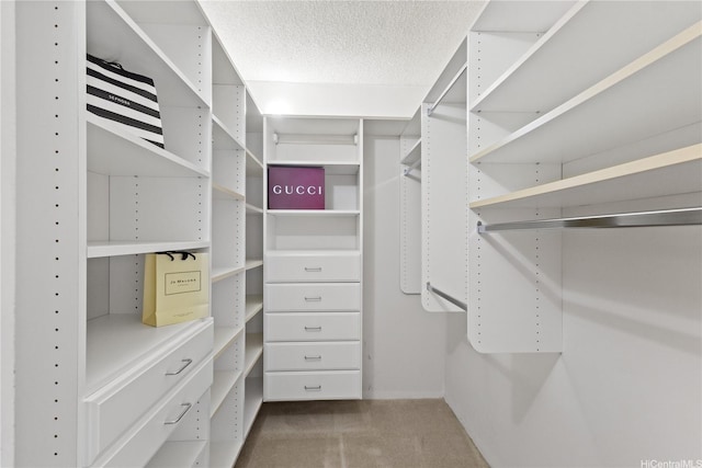 1333 Heulu St Unit 808, Honolulu, HI 96822 - walk in closet featuring carpet flooring