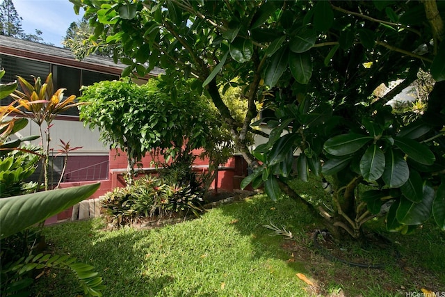 1563 Kalaepaa Dr, Honolulu, HI 96819 - photo 22