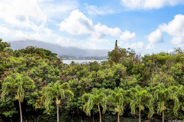 44-140-5MUIPL Mui Pl Unit 2705, Kaneohe, HI 96744 - view of woods featuring a water and mountain view