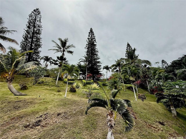 1060 Kamehameha Hwy Unit 2303B, Pearl City, HI 96782 - photo 17