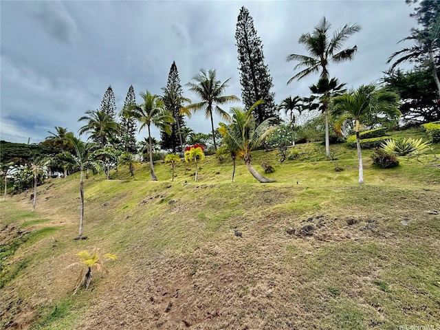 1060 Kamehameha Hwy Unit 2303B, Pearl City, HI 96782 - photo 18
