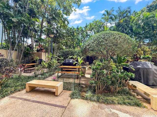 60 N Beretania St Unit 909, Honolulu, HI 96817 - view of home's community with a patio