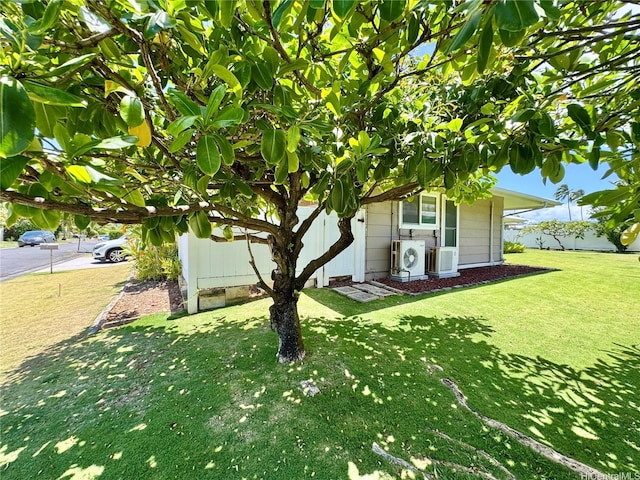 225 Aikane St, Kailua, HI 96734 - view of green lawn