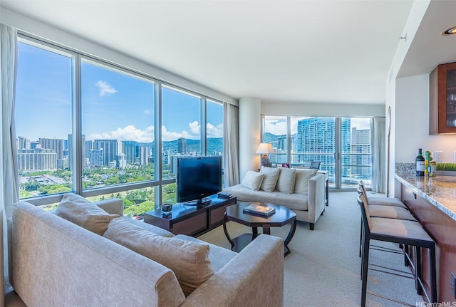 223 Saratoga Rd Unit 2203, Honolulu, HI 96815 - view of carpeted living area