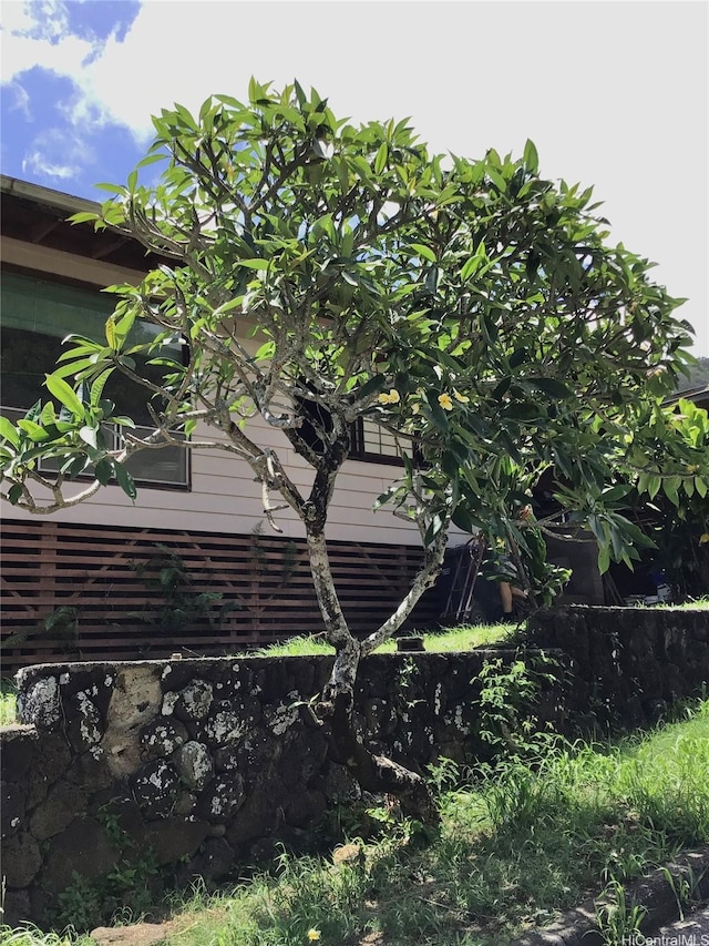 2550 Ipulei Way, Honolulu, HI 96816 - view of home's exterior