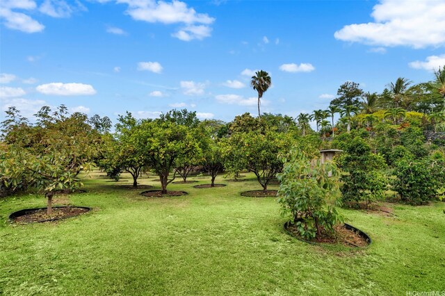 75-399 Wehilani Dr, Kailua Kona, HI 96740 - photo 23