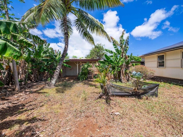 67-342 Kukea Cir, Waialua, HI 96791 - view of yard
