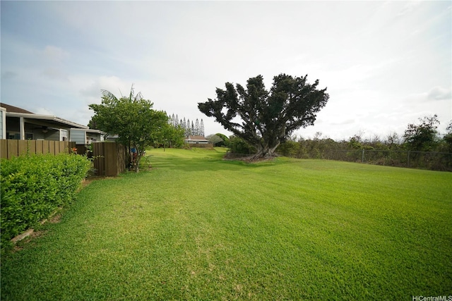 94-539 Makohilani St Unit 1034, Mililani, HI 96789 - view of yard