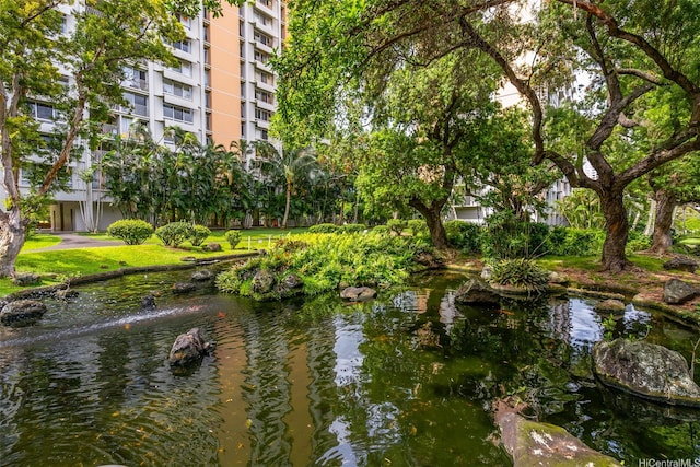 1519 Nuuanu Ave Unit 1044, Honolulu, HI 96817 - water view featuring a small pond