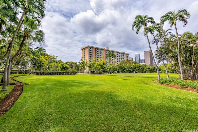 1519 Nuuanu Ave Unit 1044, Honolulu, HI 96817 - view of home's community with a yard