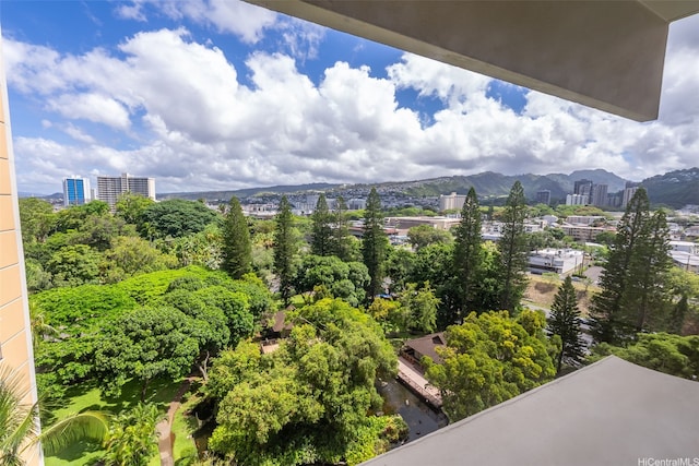 1519 Nuuanu Ave Unit 1044, Honolulu, HI 96817 - view of mountain backdrop with nearby urban area