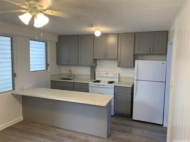 1408 Lusitana St, Honolulu, HI 96813 - kitchen with white appliances, gray cabinetry, a sink, light countertops, and a peninsula
