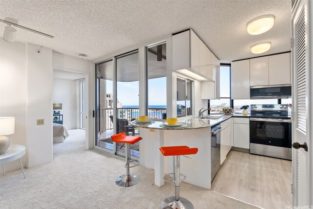 1212 Nuuanu Ave Unit 2509, Honolulu, HI 96817 - kitchen featuring stainless steel appliances, healthy amount of natural light, white cabinetry, floor to ceiling windows, and a peninsula