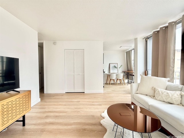 1456 Thurston Ave Unit A204, Honolulu, HI 96822 - living room featuring light wood finished floors, healthy amount of natural light, and baseboards