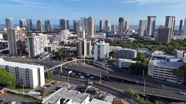 1410 Alapai St Unit 5, Honolulu, HI 96813 - skyline view