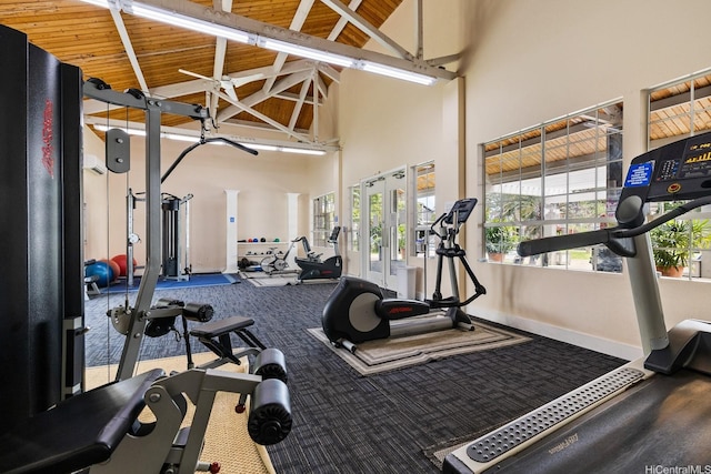 492 Mananai Pl Unit 13E, Honolulu, HI 96818 - exercise room featuring high vaulted ceiling, carpet, and baseboards