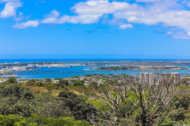 98-1027 Palula Way, Aiea, HI 96701 - water view