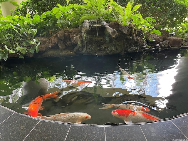 930 Kaheka St Unit 1703, Honolulu, HI 96814 - water view featuring a garden pond
