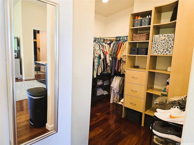 92-882 Wainohia St, Kapolei, HI 96707 - spacious closet featuring dark wood finished floors
