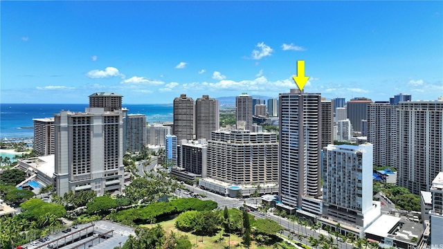 1910 Ala Moana Blvd Unit 32E, Honolulu, HI 96815 - view of urban area with a large body of water