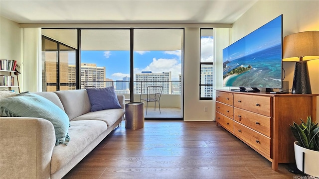 1910 Ala Moana Blvd Unit 32E, Honolulu, HI 96815 - living room featuring expansive windows and dark wood-style flooring