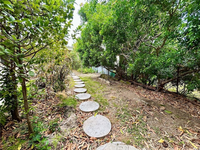 661 Iliaina St, Kailua, HI 96734 - view of yard