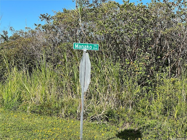 000 19th Ave, Keaau, HI 96749