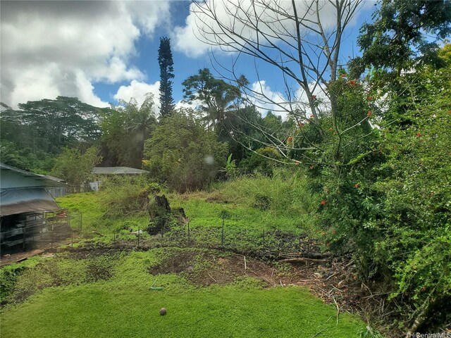 14-808 Crystal Cir, Pahoa, HI 96778 - view of yard