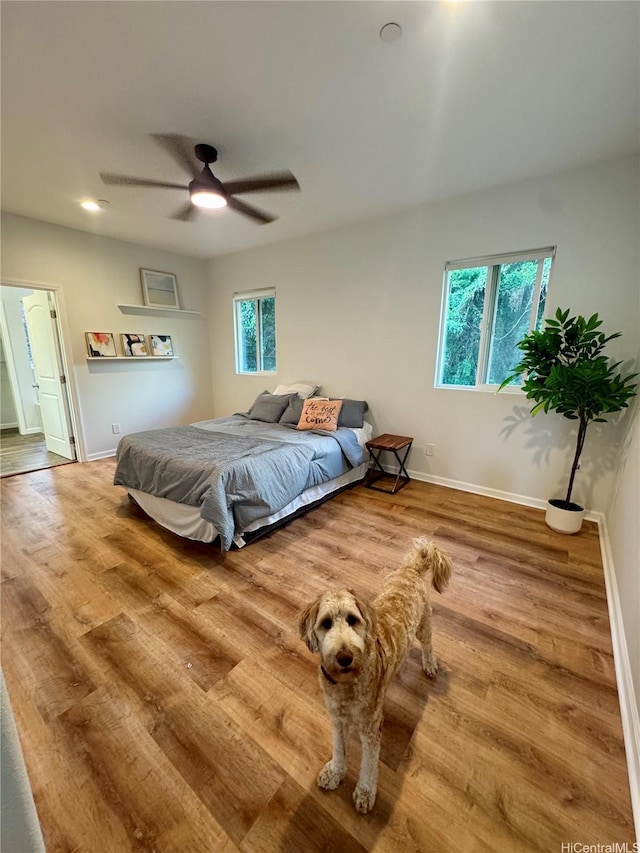 2318 Waiomao Rd Unit 4, Honolulu, HI 96816 - bedroom with wood finished floors, baseboards, and ceiling fan