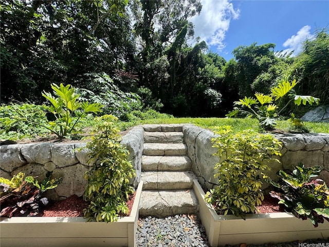 2318 Waiomao Rd Unit 4, Honolulu, HI 96816 - view of yard
