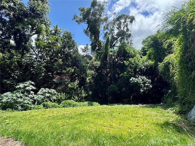 2318 Waiomao Rd Unit 4, Honolulu, HI 96816 - view of woods