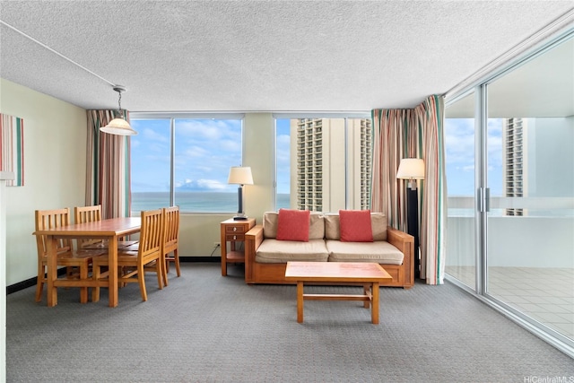 2427 Kuhio Ave Unit 2103, Honolulu, HI 96815 - living room with carpet floors, a water view, and a textured ceiling