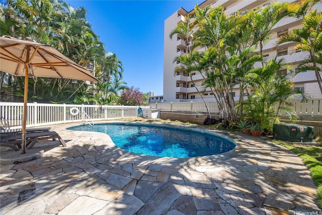 1505 Kewalo St Unit 203A, Honolulu, HI 96822 - photo 19