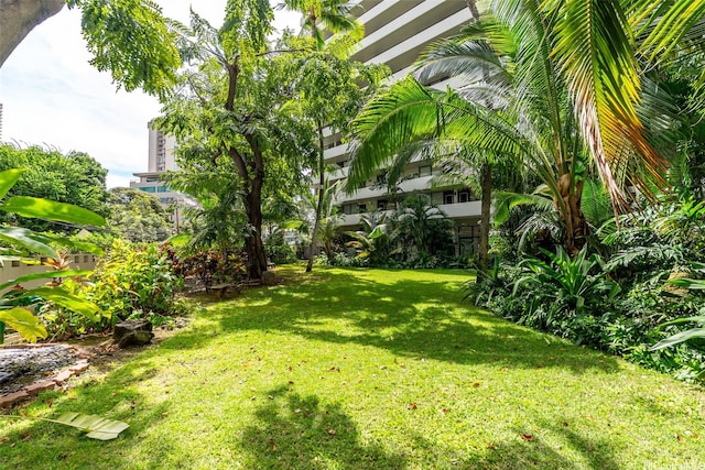425 Ena Rd Unit Ph3B, Honolulu, HI 96815 - view of grassy yard